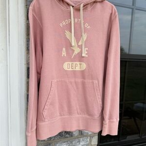 Pink AE Graphic Hoodie